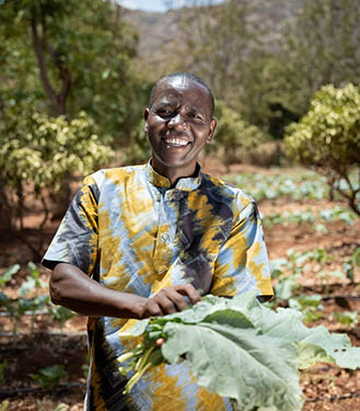 Hunger to Harvest